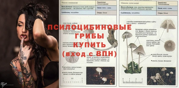прущая мука Верея