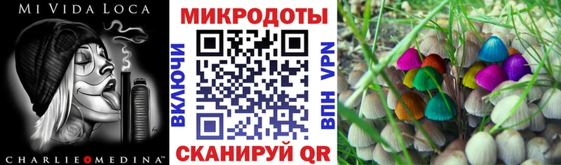Псилоцибиновые грибы Psilocybine cubensis  купить наркотики цена  Ишим 